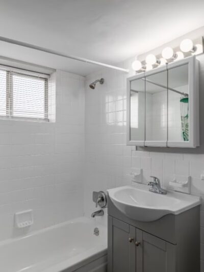 Yale Court - Morton, PA