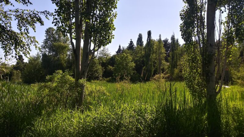 Anderson Park - Moscow, ID