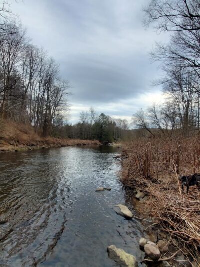 NPTA South Trailhead - Moscow, PA