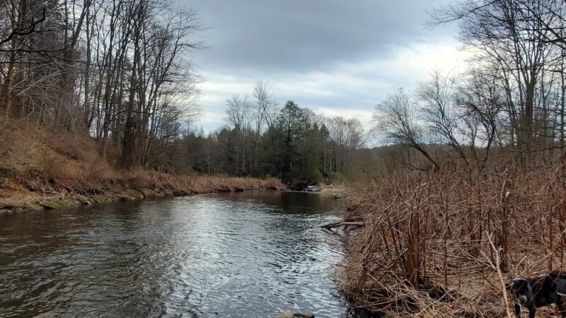 NPTA South Trailhead - Moscow, PA
