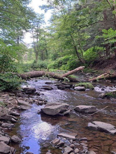 Old Mill Park - Moscow, PA