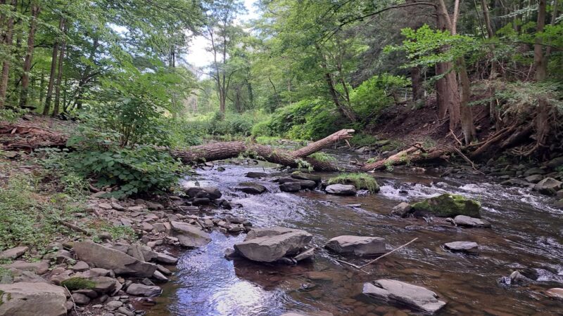 Old Mill Park - Moscow, PA