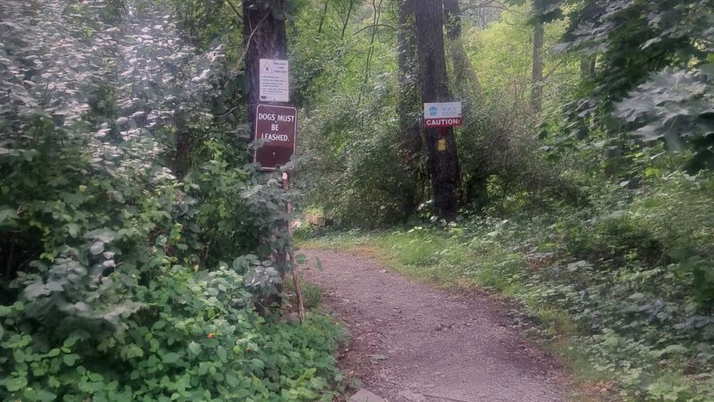 Old Mill Park - Moscow, PA