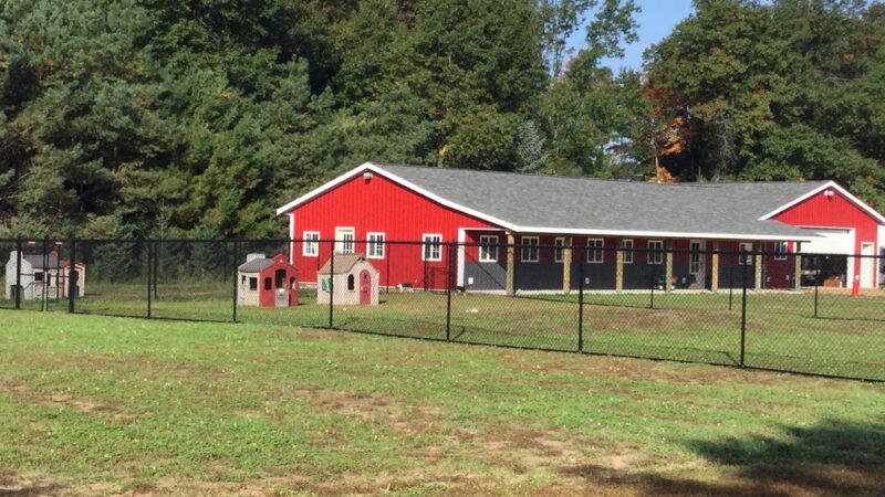 Hidden Acres Dog Lodge - Mosinee, WI