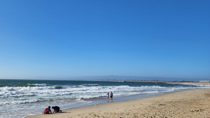 Island Beach - Moss Landing, CA