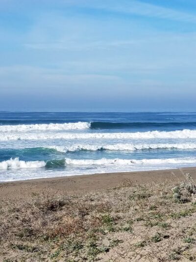Moss Landing - Moss Landing, CA