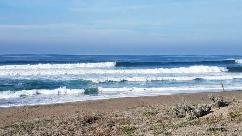 Moss Landing - Moss Landing, CA