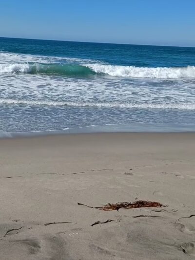 Moss Landing - Moss Landing, CA