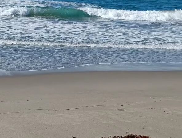 Moss Landing - Moss Landing, CA