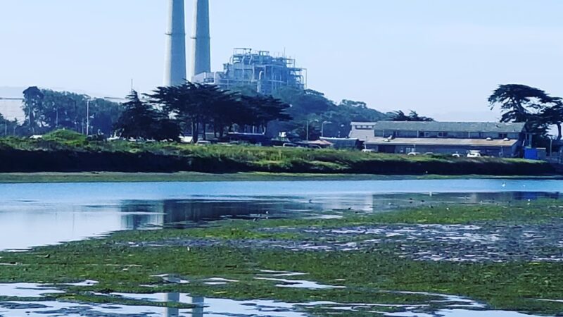 Moss Landing - Moss Landing, CA