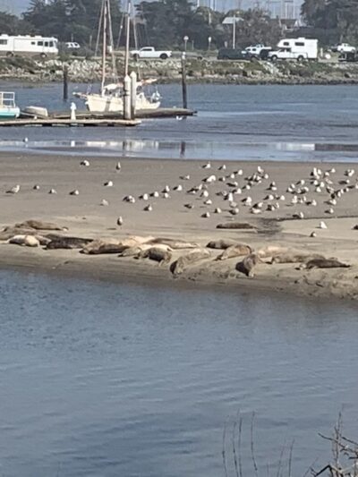 Moss Landing - Moss Landing, CA