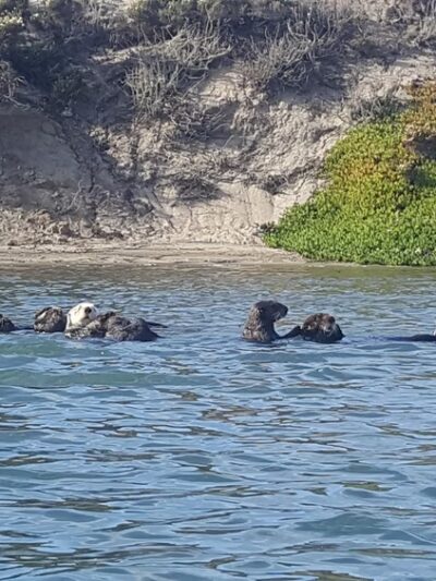 Moss Landing Park - Moss Landing, CA