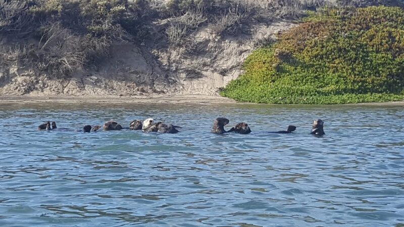Moss Landing Park - Moss Landing, CA