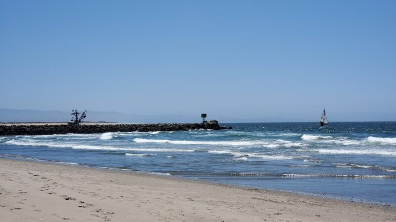 Moss Landing State Beach - Moss Landing, CA