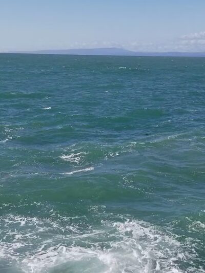 Moss Landing State Beach - Moss Landing, CA