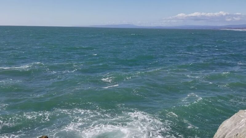 Moss Landing State Beach - Moss Landing, CA