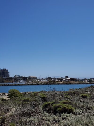 Moss Landing State Beach - Moss Landing, CA