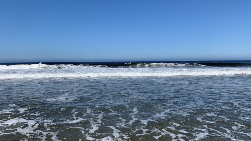 Moss Landing Viewing Point - Moss Landing, CA