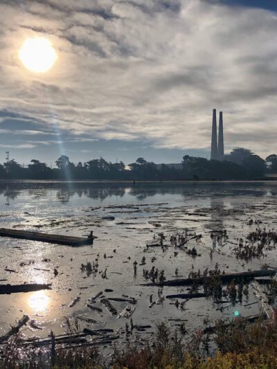 Moss Landing Wildlife Area - Moss Landing, CA