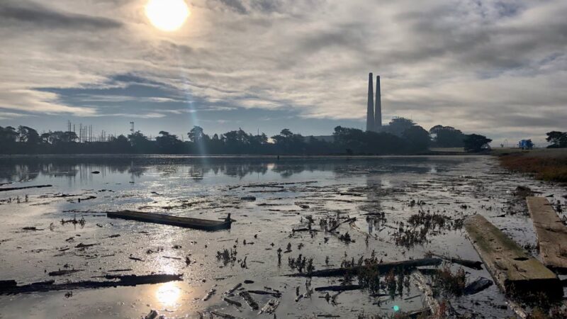Moss Landing Wildlife Area - Moss Landing, CA