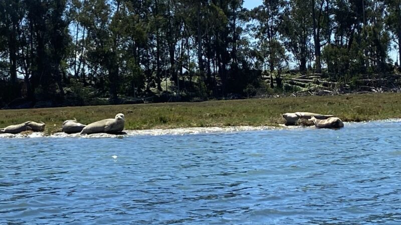 Moss Landing Wildlife Area - Moss Landing, CA