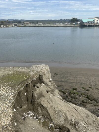 Sandholdt Lot Trail - Moss Landing, CA