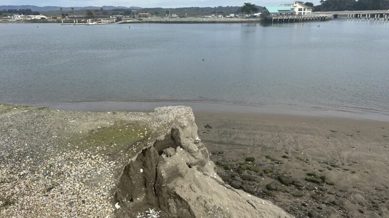 Sandholdt Lot Trail - Moss Landing, CA
