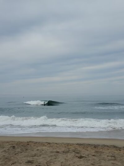 Sandholdt Lot Trail - Moss Landing, CA