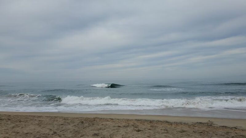 Sandholdt Lot Trail - Moss Landing, CA