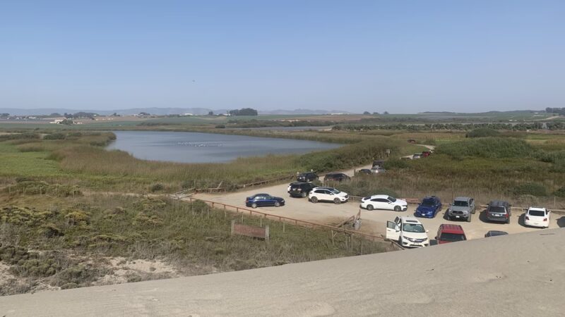 Zmudowski State Beach - Moss Landing, CA