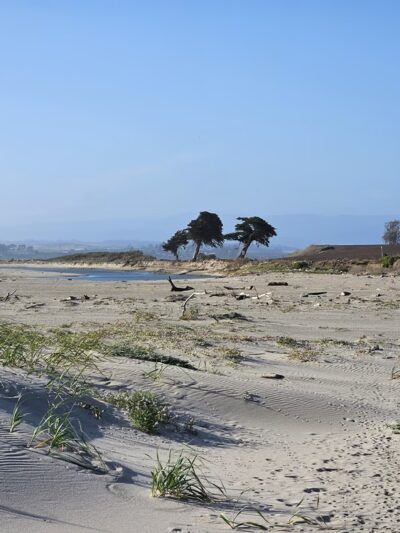 Zmudowski State Beach - Moss Landing, CA