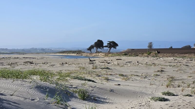Zmudowski State Beach - Moss Landing, CA