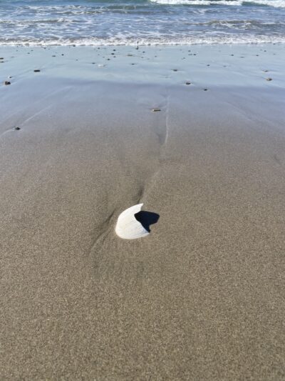 Zmudowski State Beach - Moss Landing, CA