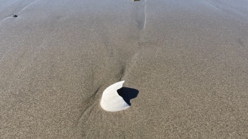 Zmudowski State Beach - Moss Landing, CA