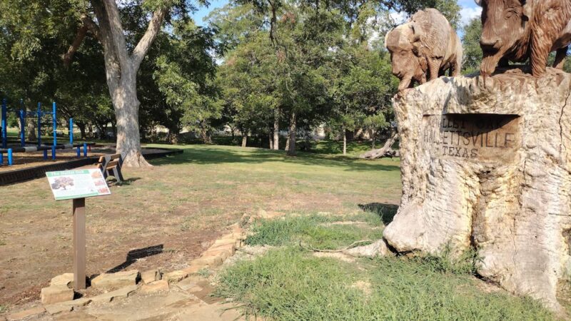 Moulton City Park - Moulton, TX