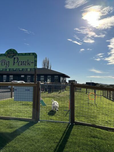 O'Donnell's Dog Park - Mount Vernon, WA