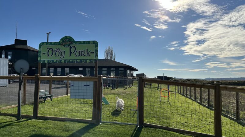 O'Donnell's Dog Park - Mount Vernon, WA