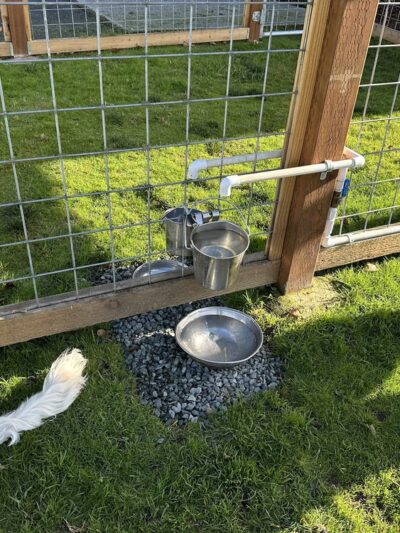 O'Donnell's Dog Park - Mount Vernon, WA