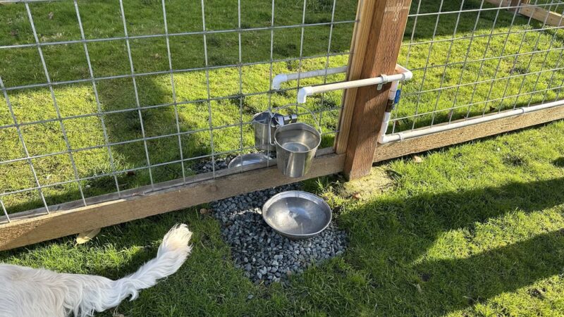 O'Donnell's Dog Park - Mount Vernon, WA