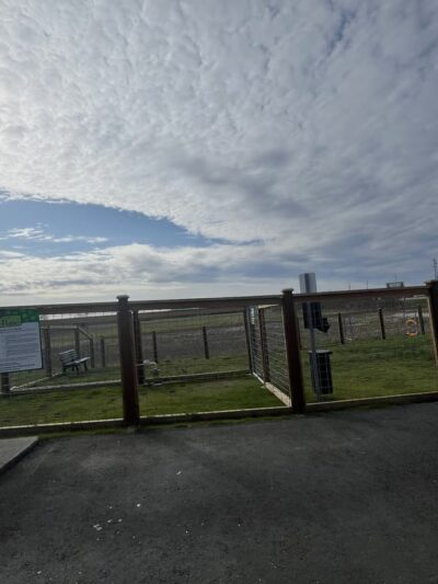 O'Donnell's Dog Park - Mount Vernon, WA