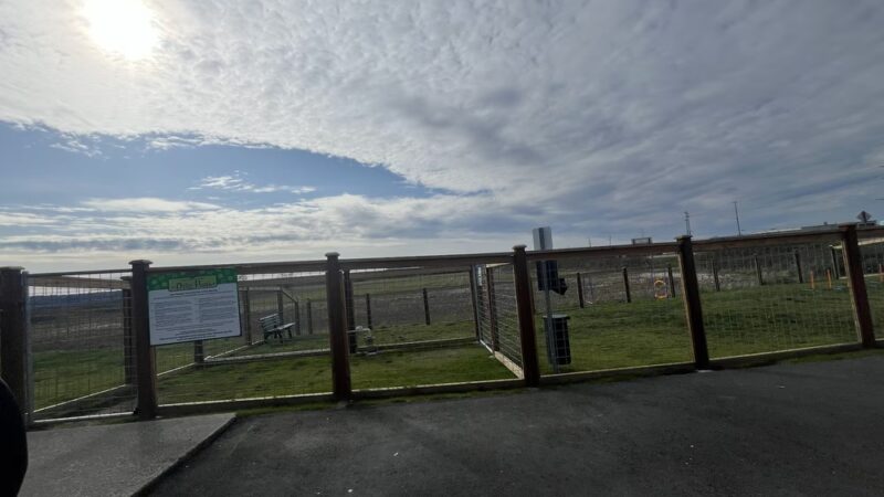 O'Donnell's Dog Park - Mount Vernon, WA