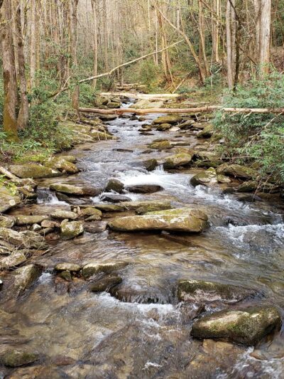 Foothills Trail - Cheohee Road Access - Mountain Rest, SC