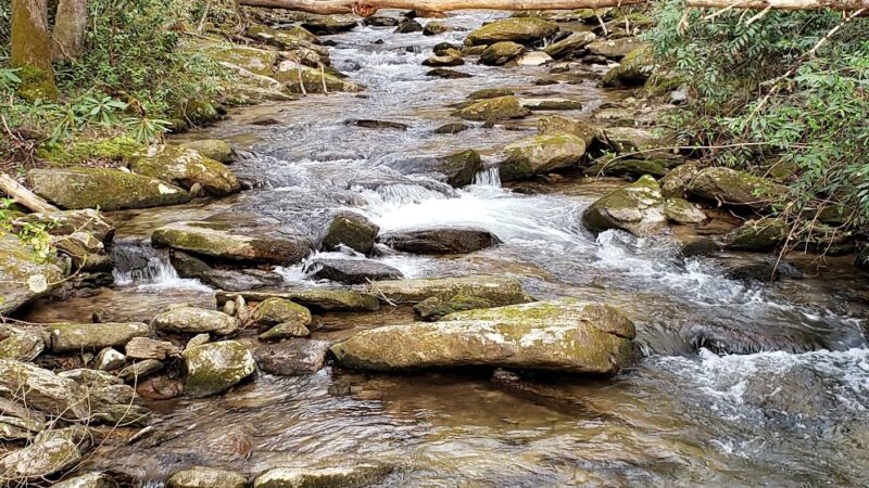 Foothills Trail - Cheohee Road Access - Mountain Rest, SC