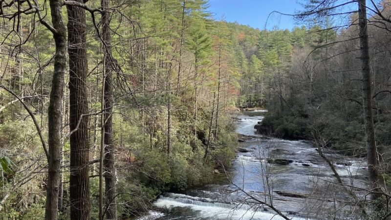 Foothills Trail - Cheohee Road Access - Mountain Rest, SC
