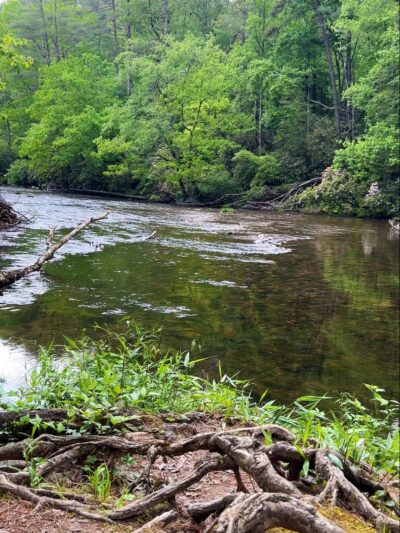 King Creek Falls - Mountain Rest, SC