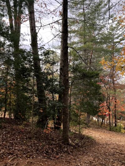 Mountain Rest Cabins And Campgrounds - Mountain Rest, SC