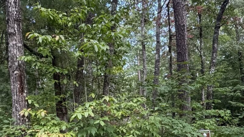 Oconee State Park - Mountain Rest, SC