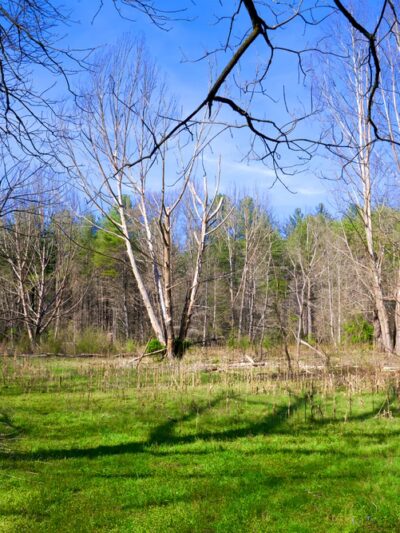 Ridley Fields parking - Mountain Rest, SC