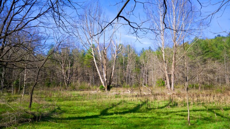 Ridley Fields parking - Mountain Rest, SC