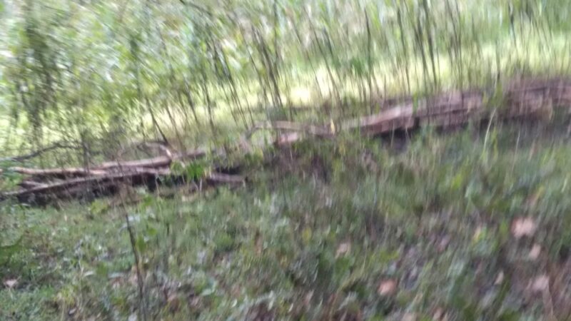 Ridley Fields parking - Mountain Rest, SC